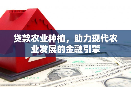 北仑贷款农业种植，助力现代农业发展的金融引擎