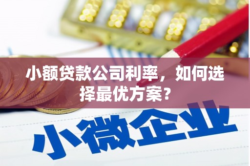 北仑小额贷款公司利率，如何选择最优方案？