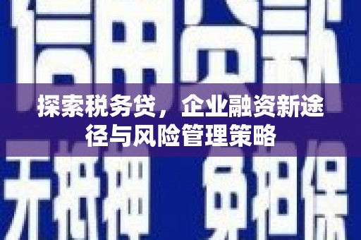 北仑探索税务贷，企业融资新途径与风险管理策略
