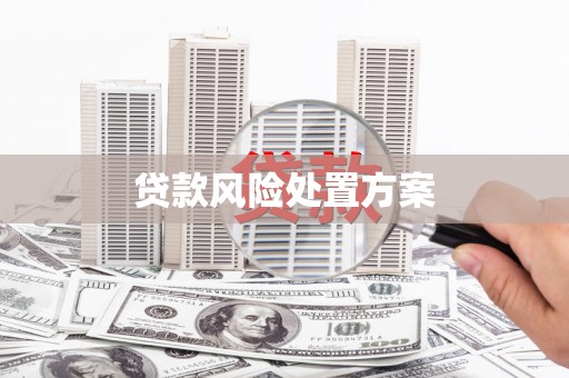 北仑贷款风险处置方案