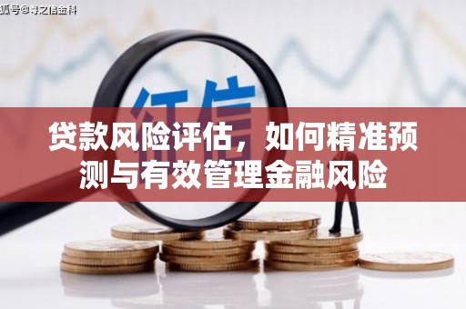 北仑贷款风险评估，如何精准预测与有效管理金融风险