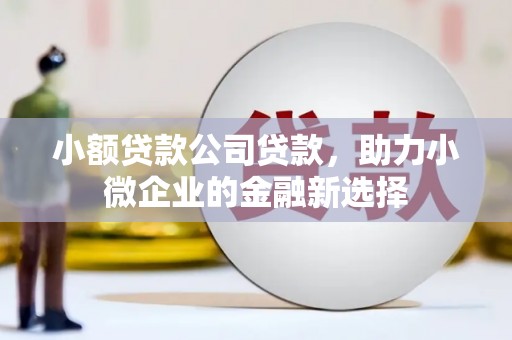 北仑小额贷款公司贷款，助力小微企业的金融新选择