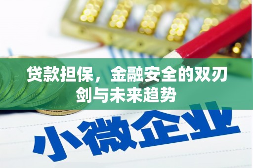 北仑贷款担保，金融安全的双刃剑与未来趋势