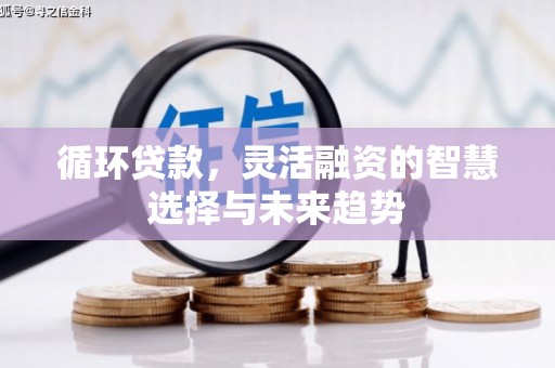 北仑循环贷款，灵活融资的智慧选择与未来趋势