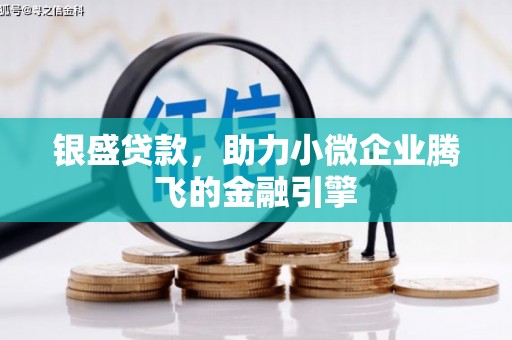 北仑银盛贷款，助力小微企业腾飞的金融引擎