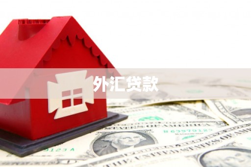 北仑外汇贷款