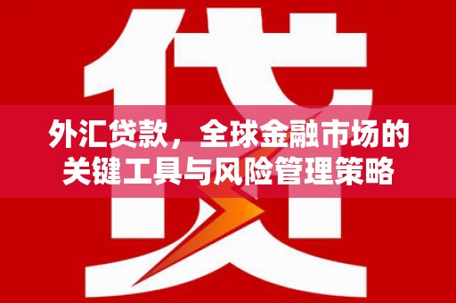 北仑外汇贷款，全球金融市场的关键工具与风险管理策略