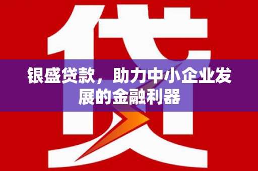 北仑银盛贷款，助力中小企业发展的金融利器