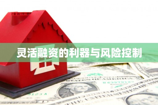 北仑灵活融资的利器与风险控制