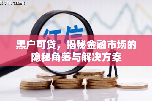 北仑黑户可贷，揭秘金融市场的隐秘角落与解决方案