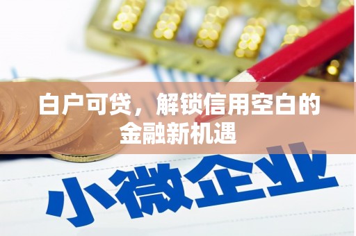 北仑白户可贷，解锁信用空白的金融新机遇