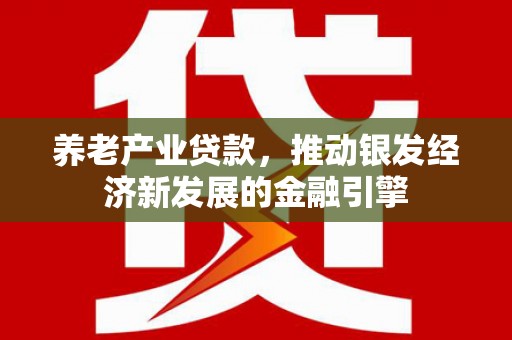 北仑养老产业贷款，推动银发经济新发展的金融引擎