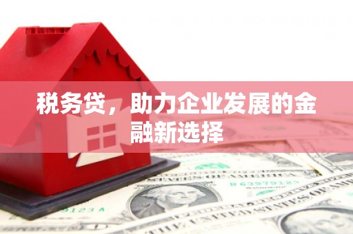 北仑税务贷，助力企业发展的金融新选择