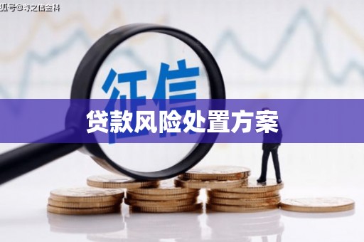北仑贷款风险处置方案