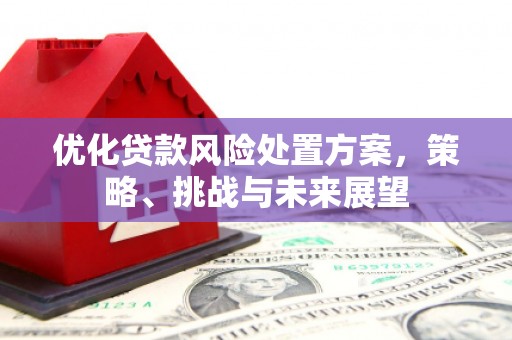 北仑优化贷款风险处置方案，策略、挑战与未来展望