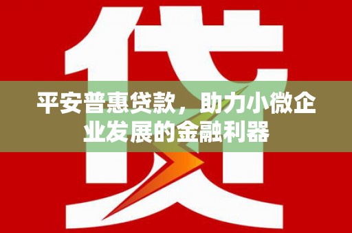 北仑平安普惠贷款，助力小微企业发展的金融利器