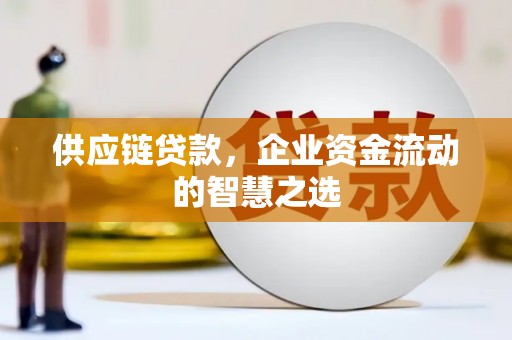 北仑供应链贷款，企业资金流动的智慧之选