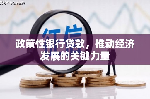 北仑政策性银行贷款，推动经济发展的关键力量