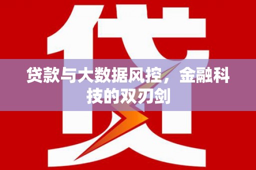北仑贷款与大数据风控，金融科技的双刃剑