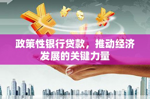 北仑政策性银行贷款，推动经济发展的关键力量