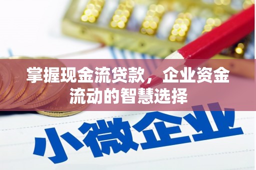 北仑掌握现金流贷款，企业资金流动的智慧选择