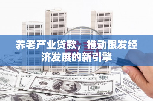 北仑养老产业贷款，推动银发经济发展的新引擎