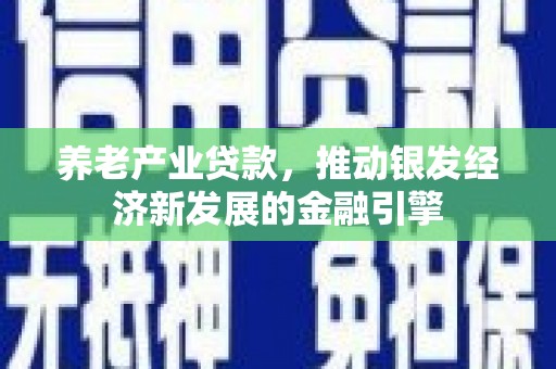北仑养老产业贷款，推动银发经济新发展的金融引擎