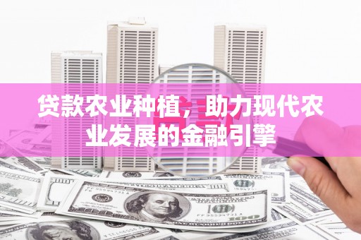 北仑贷款农业种植，助力现代农业发展的金融引擎