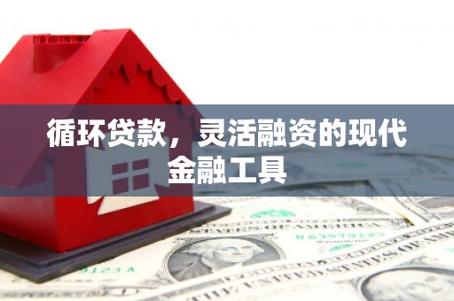 北仑循环贷款，灵活融资的现代金融工具