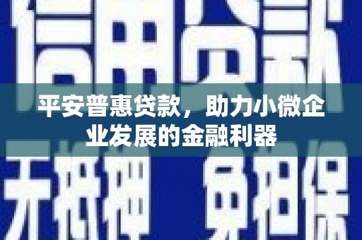 北仑平安普惠贷款，助力小微企业发展的金融利器