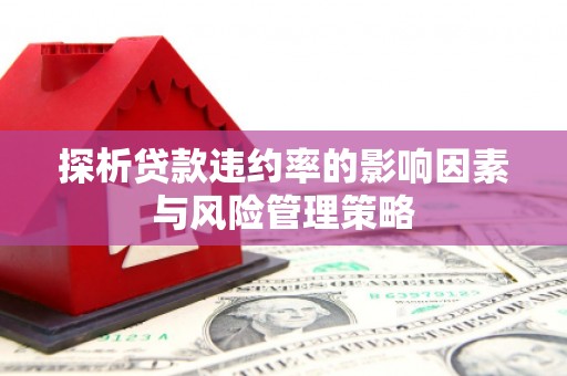 北仑探析贷款违约率的影响因素与风险管理策略