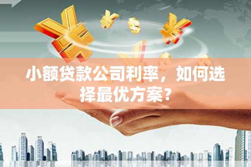 北仑小额贷款公司利率，如何选择最优方案？