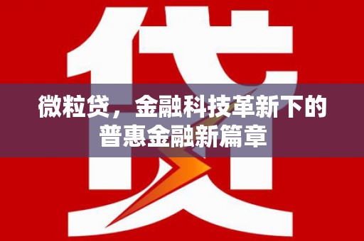 北仑微粒贷，金融科技革新下的普惠金融新篇章
