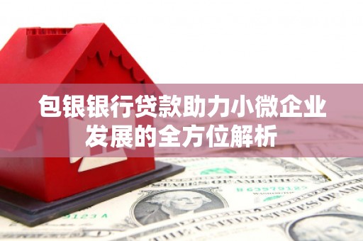 北仑包银银行贷款助力小微企业发展的全方位解析