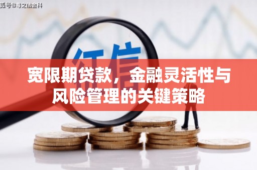 北仑宽限期贷款，金融灵活性与风险管理的关键策略
