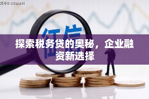 北仑探索税务贷的奥秘，企业融资新选择