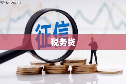 北仑税务贷