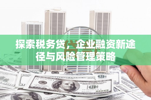 北仑探索税务贷，企业融资新途径与风险管理策略