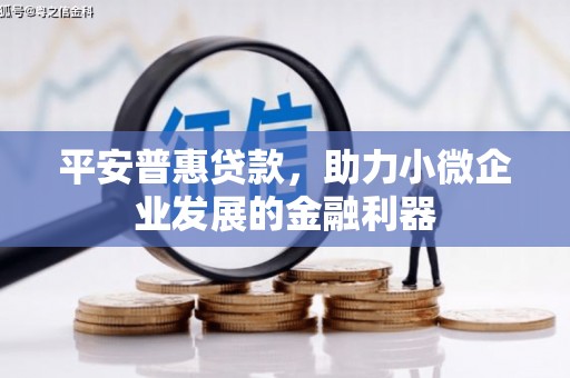 北仑平安普惠贷款，助力小微企业发展的金融利器
