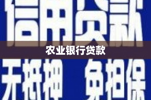北仑农业银行贷款