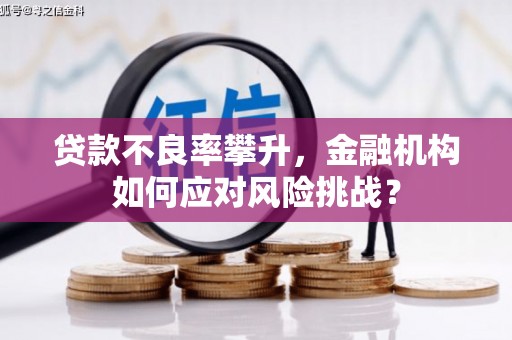 北仑贷款不良率攀升，金融机构如何应对风险挑战？