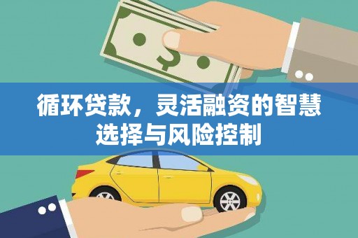 北仑循环贷款，灵活融资的智慧选择与风险控制