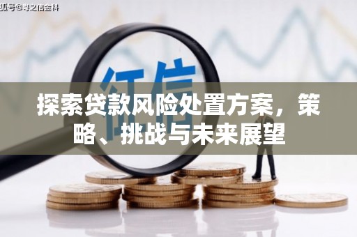 北仑探索贷款风险处置方案，策略、挑战与未来展望