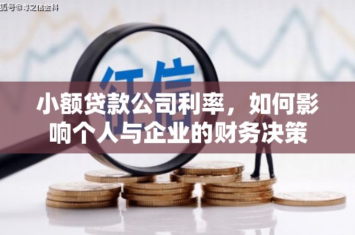 北仑小额贷款公司利率，如何影响个人与企业的财务决策