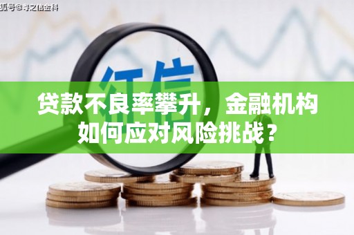 北仑贷款不良率攀升，金融机构如何应对风险挑战？