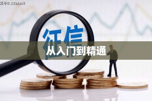 北仑从入门到精通