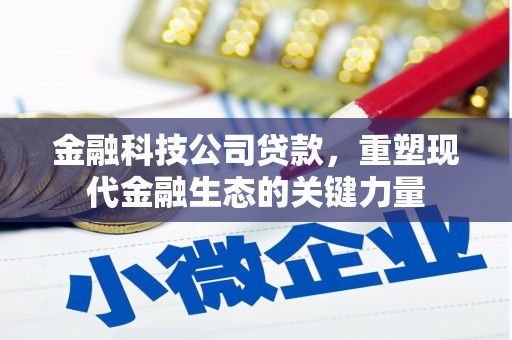 北仑金融科技公司贷款，重塑现代金融生态的关键力量