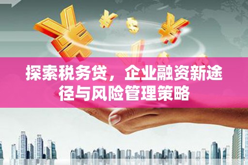 北仑探索税务贷，企业融资新途径与风险管理策略