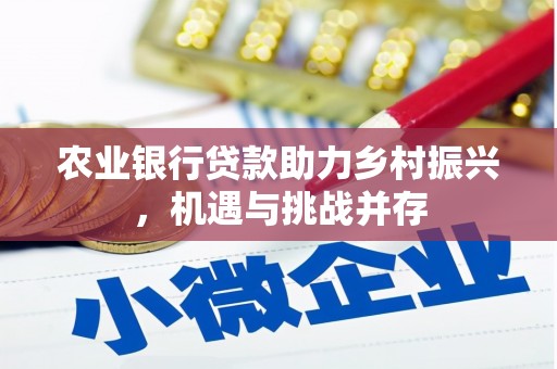 北仑农业银行贷款助力乡村振兴，机遇与挑战并存