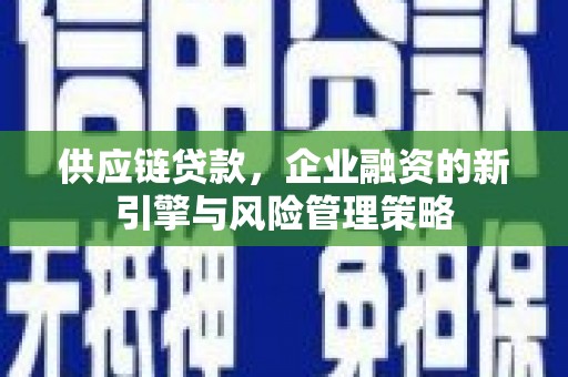 北仑供应链贷款，企业融资的新引擎与风险管理策略